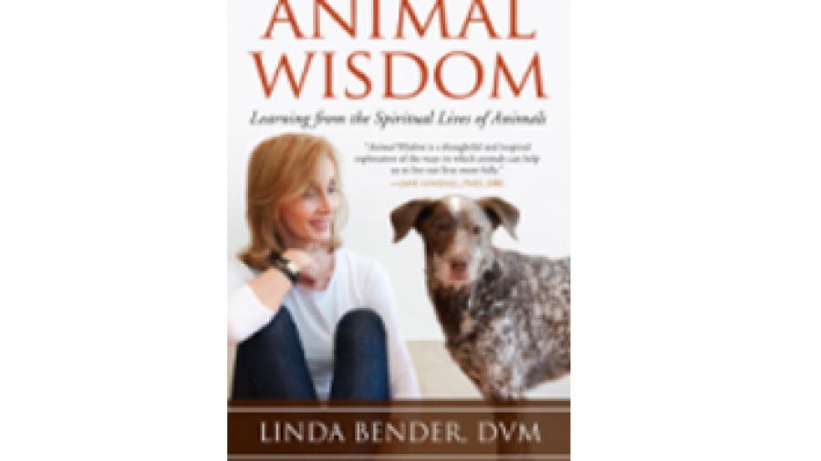animal wisdom