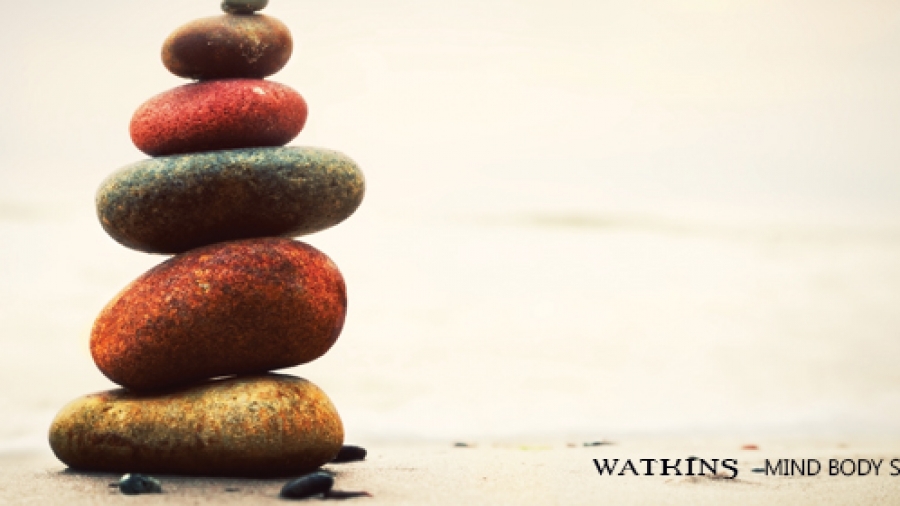 Parapsychology And Soul Mind Body Science System Watkins - 