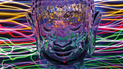 Siddhārtha’s Brain