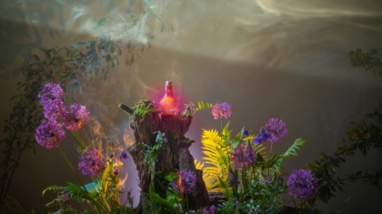 Bottle,Of,Magic,Potions,In,Magical,Forest